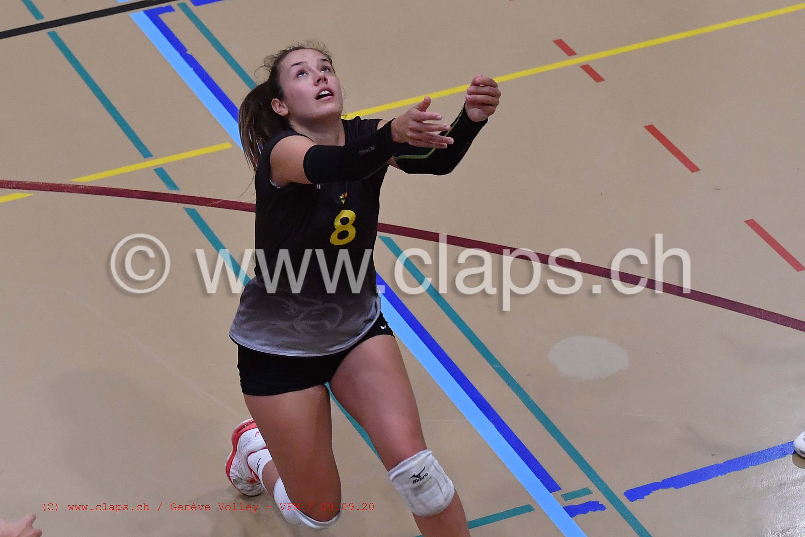 Genève-Volley - VFM