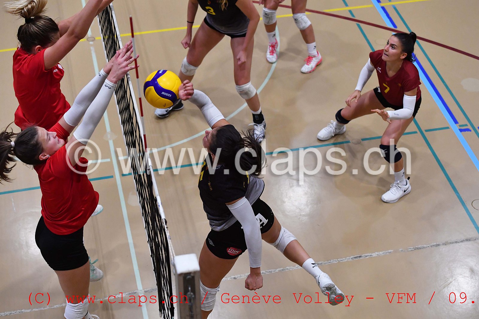 Genève-Volley - VFM