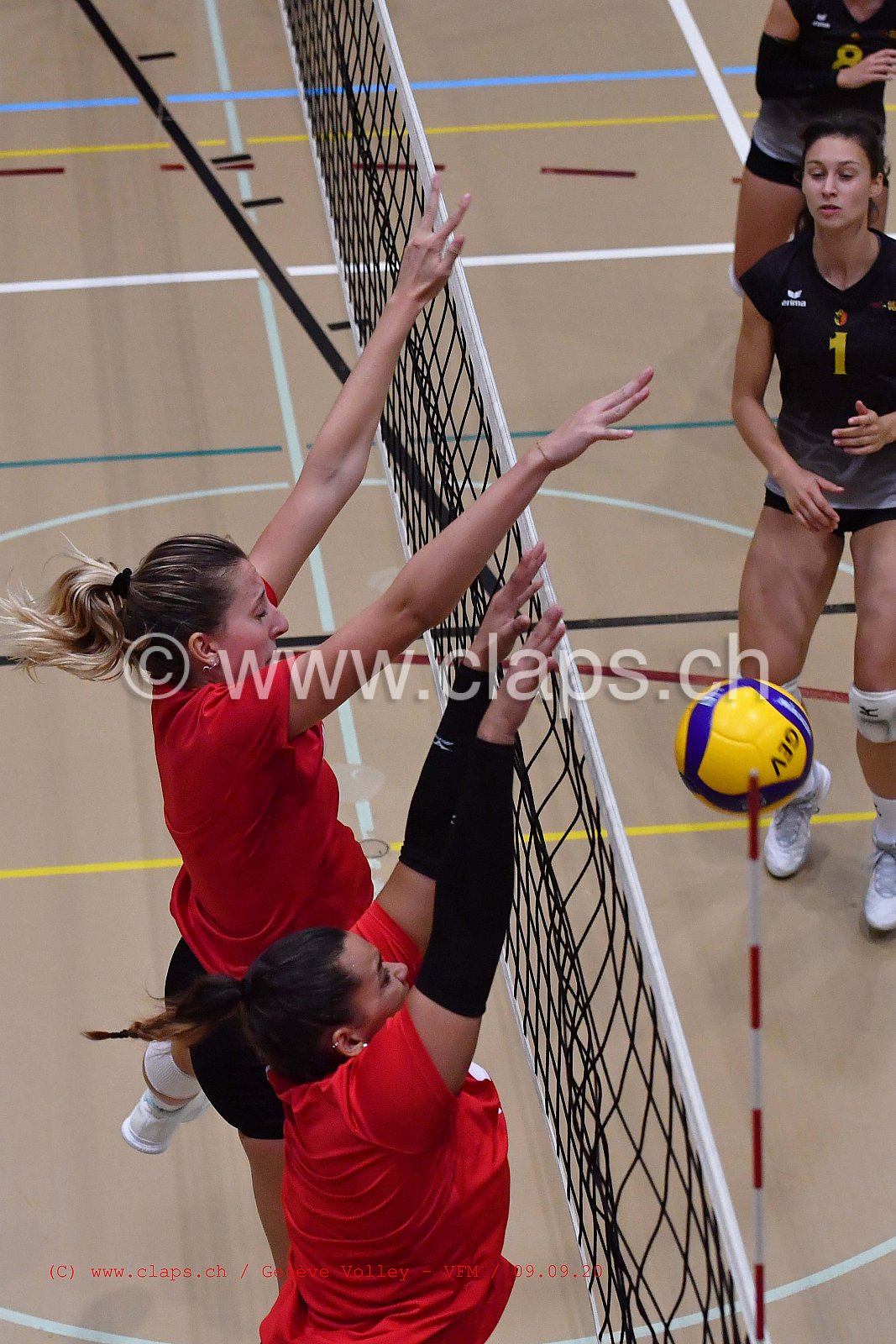 Genève-Volley - VFM