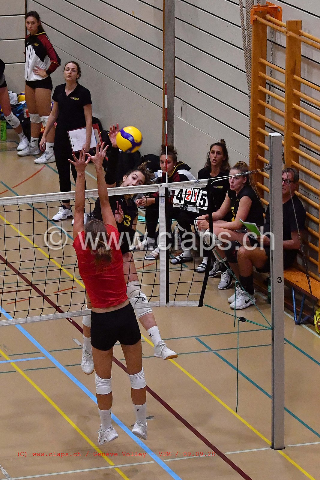 Genève-Volley - VFM