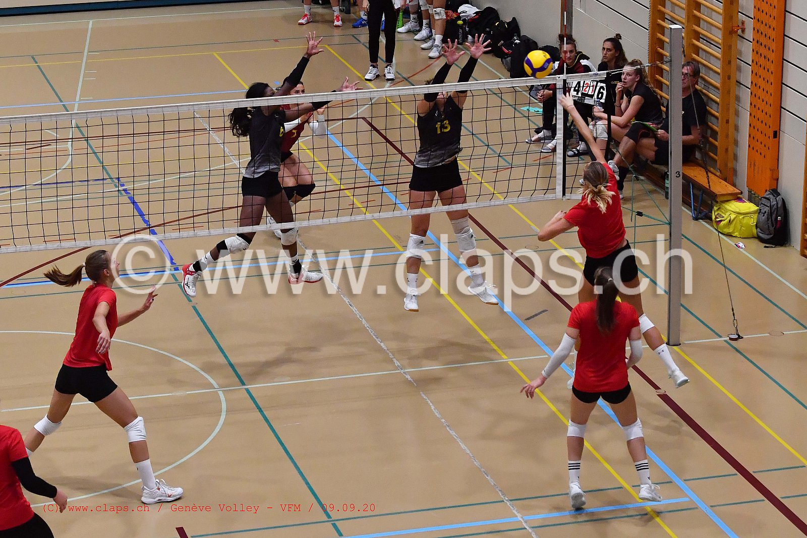 Genève-Volley - VFM