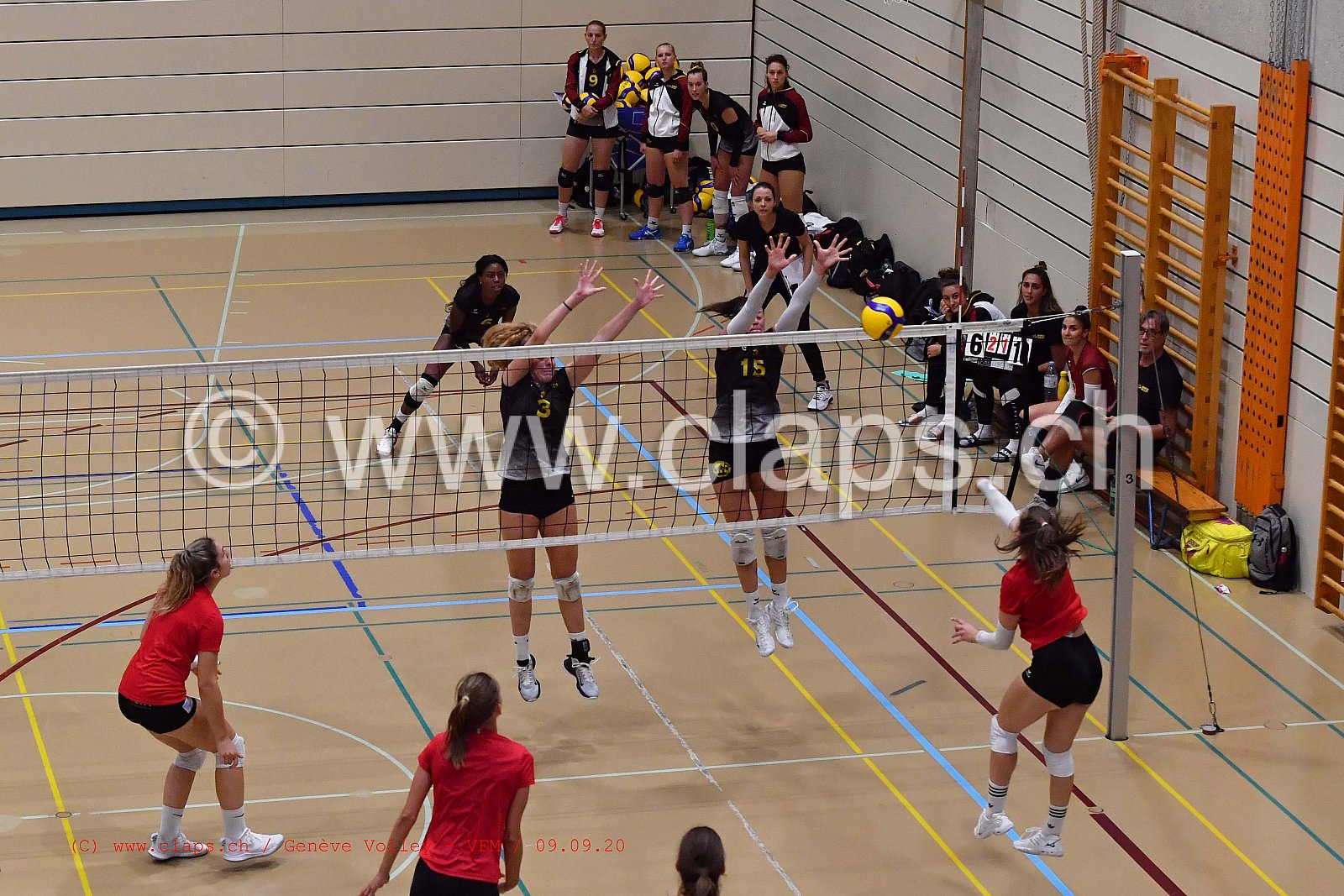 Genève-Volley - VFM