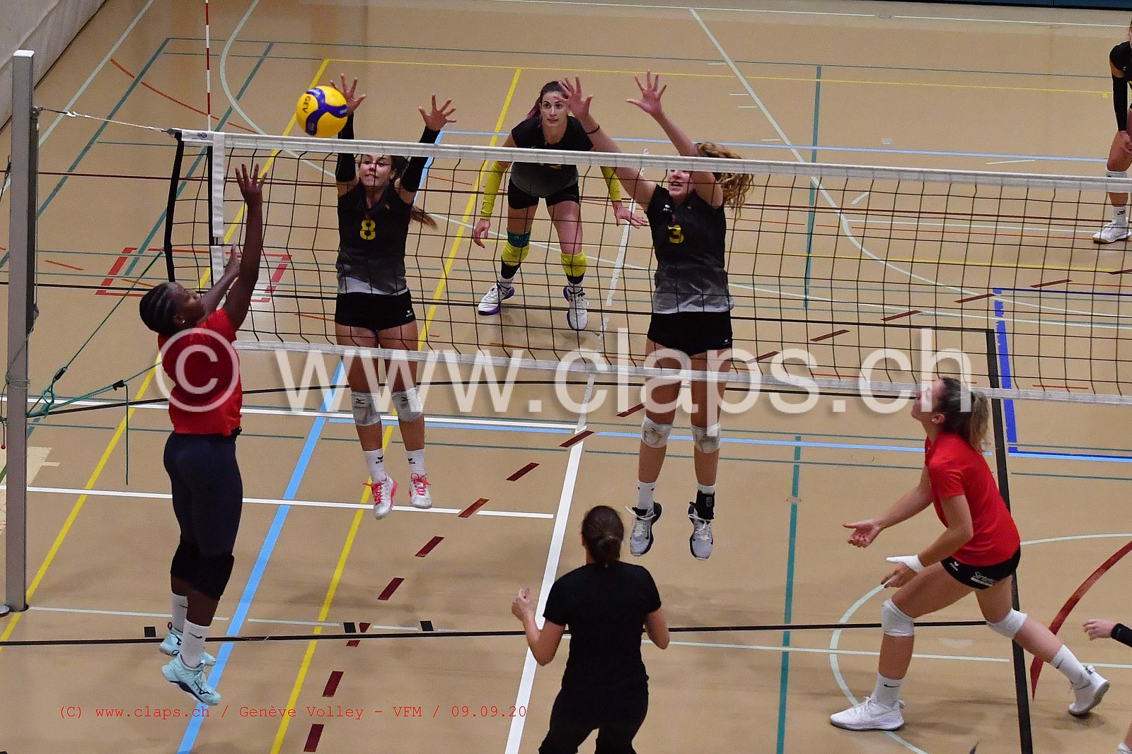 Genève-Volley - VFM
