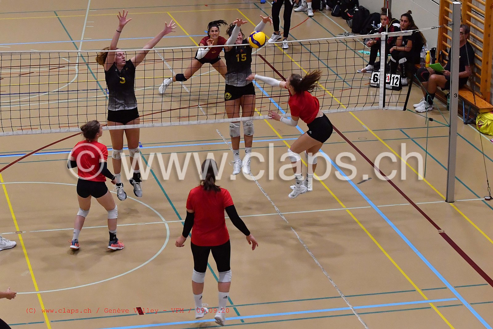 Genève-Volley - VFM