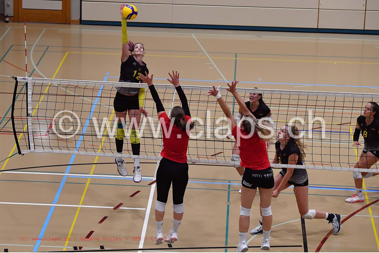 Genève-Volley - VFM