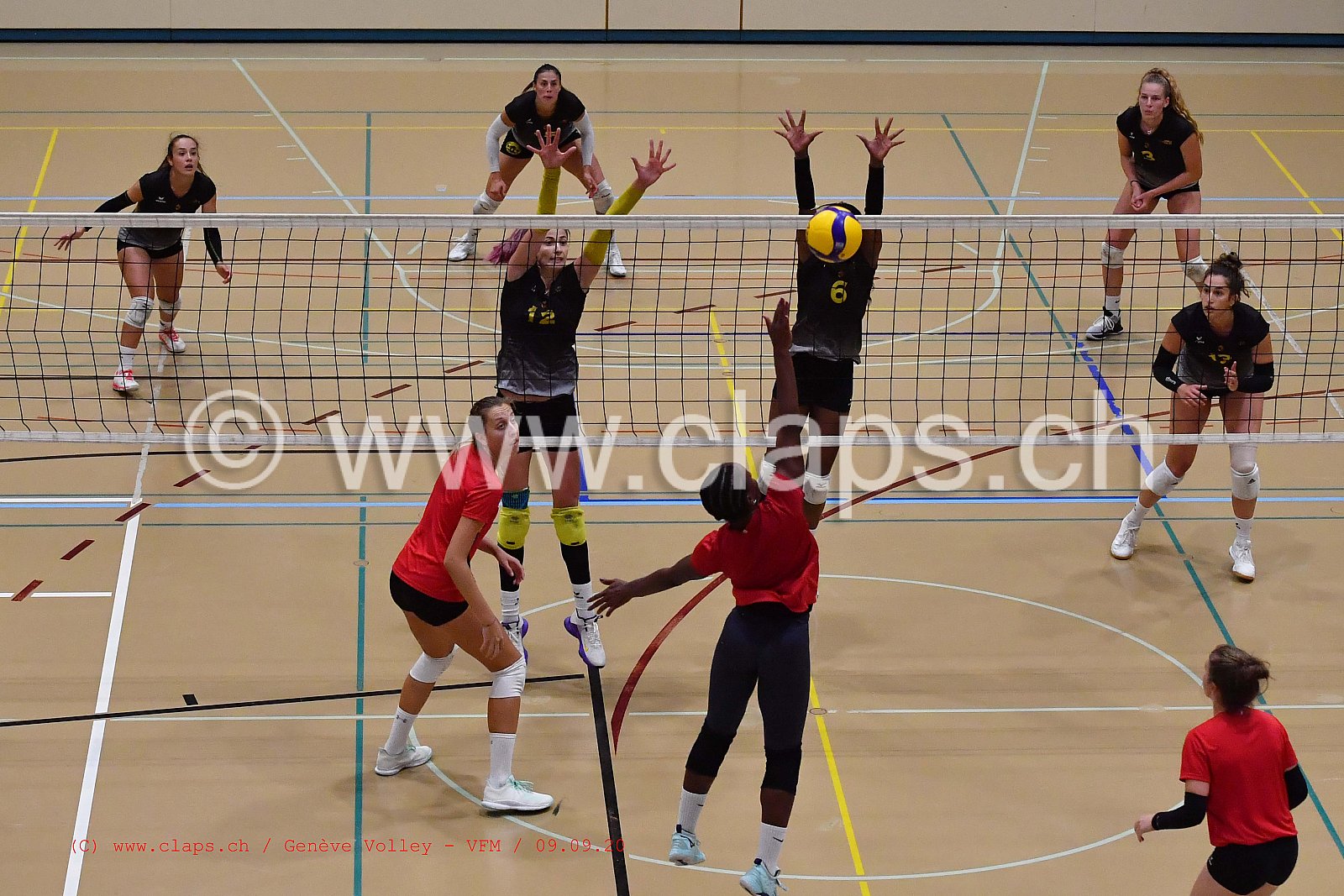 Genève-Volley - VFM