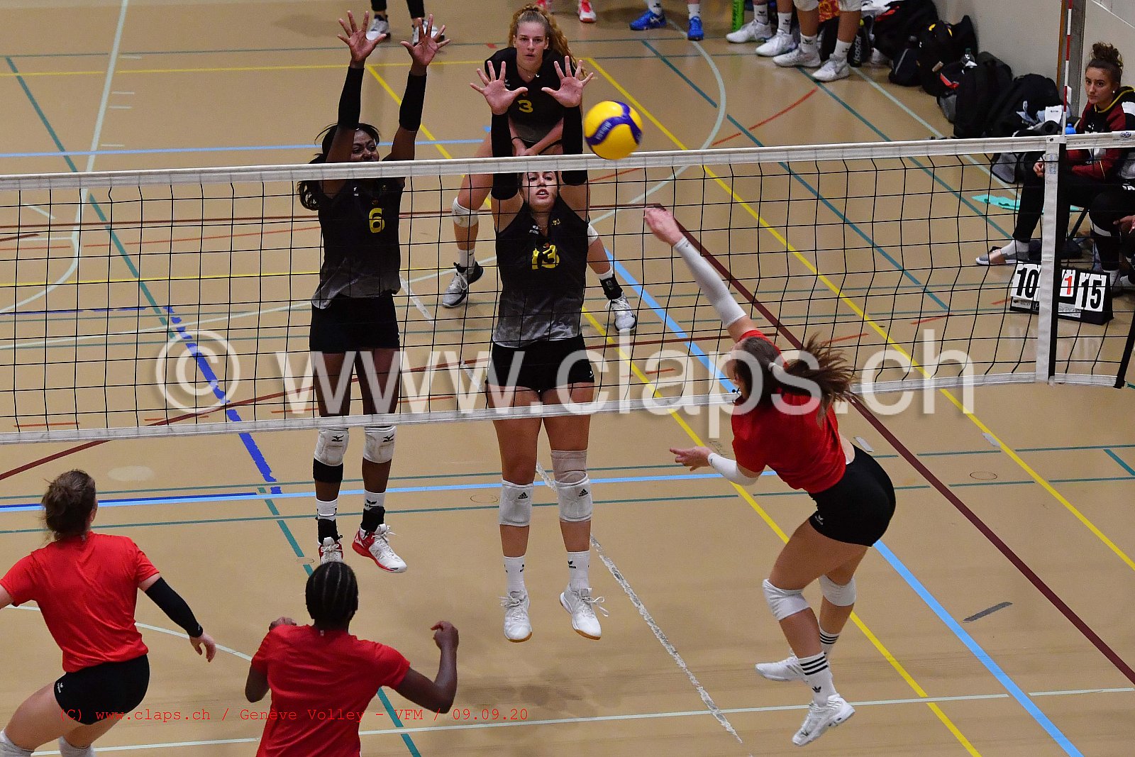 Genève-Volley - VFM