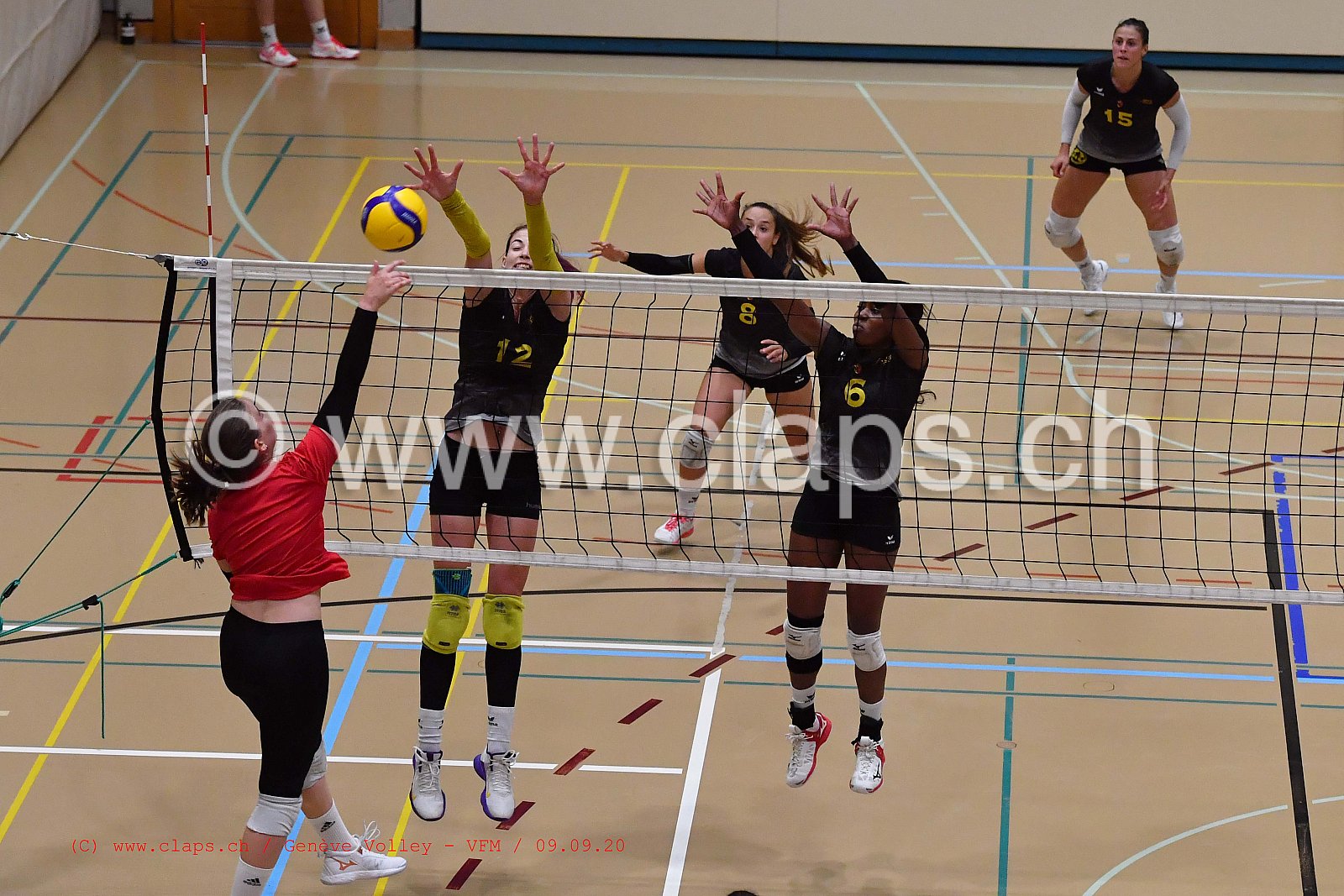 Genève-Volley - VFM