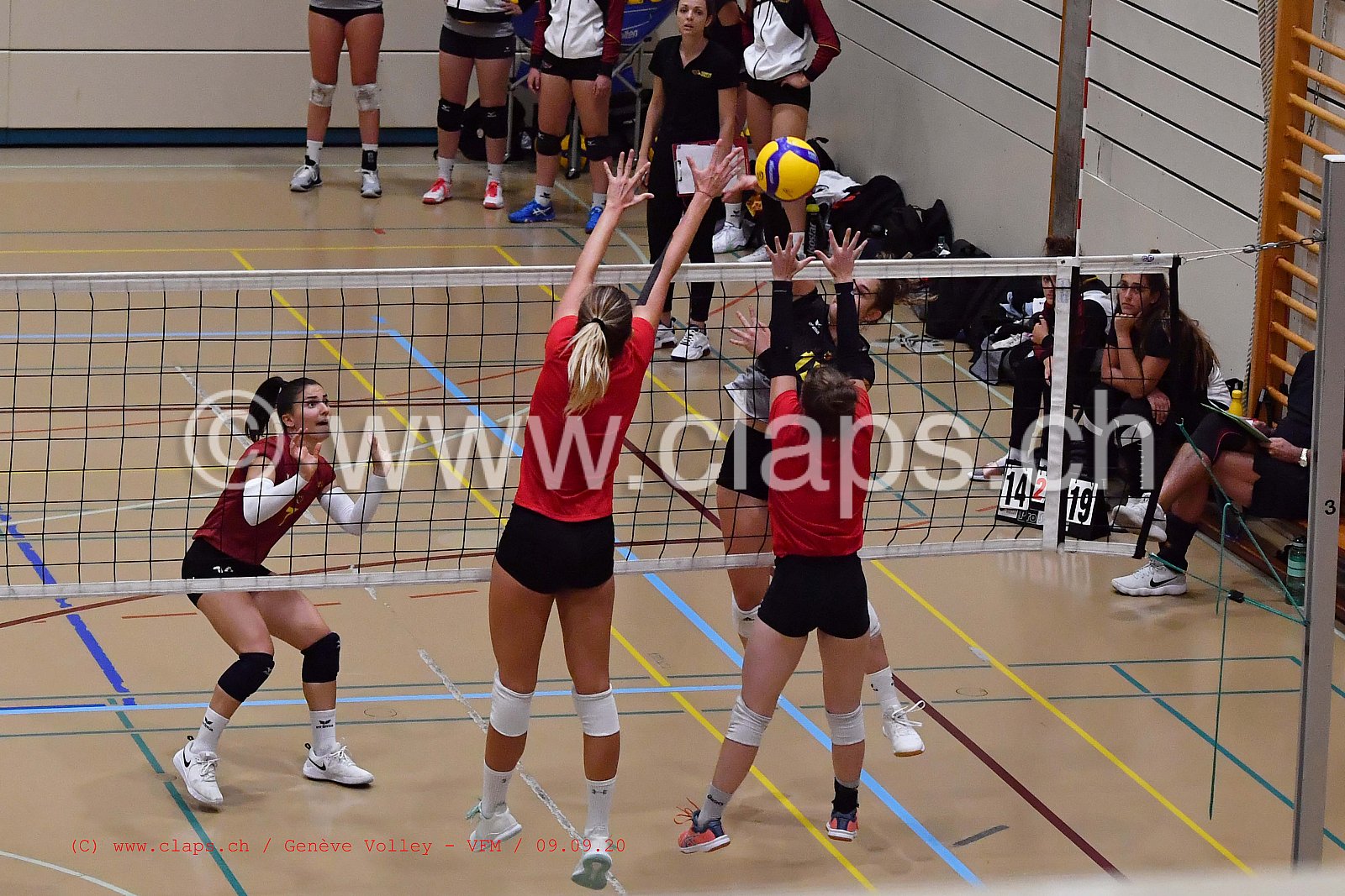 Genève-Volley - VFM