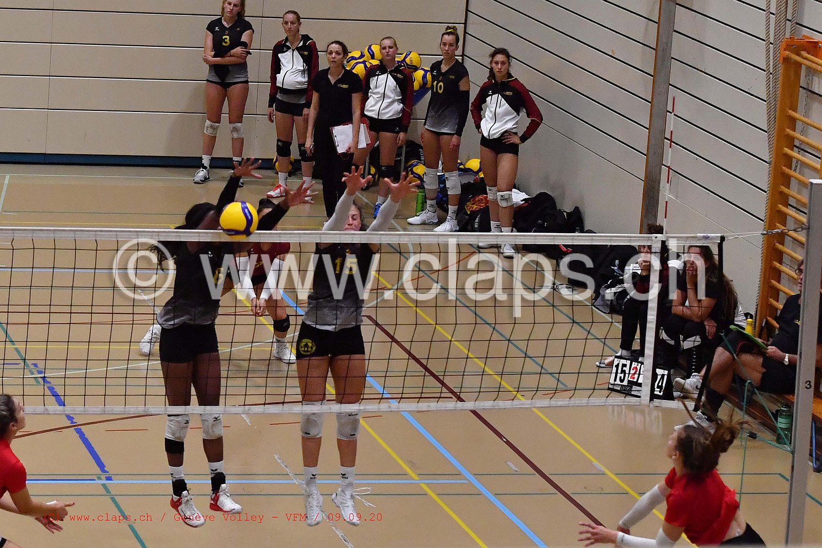 Genève-Volley - VFM