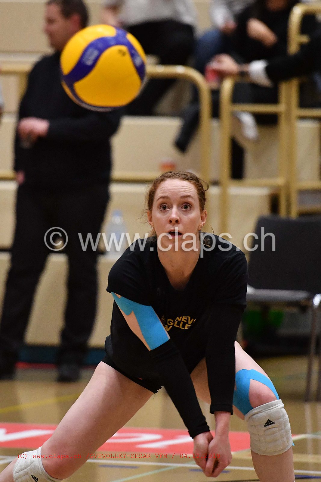 GeneveVolley - Zesar VFM