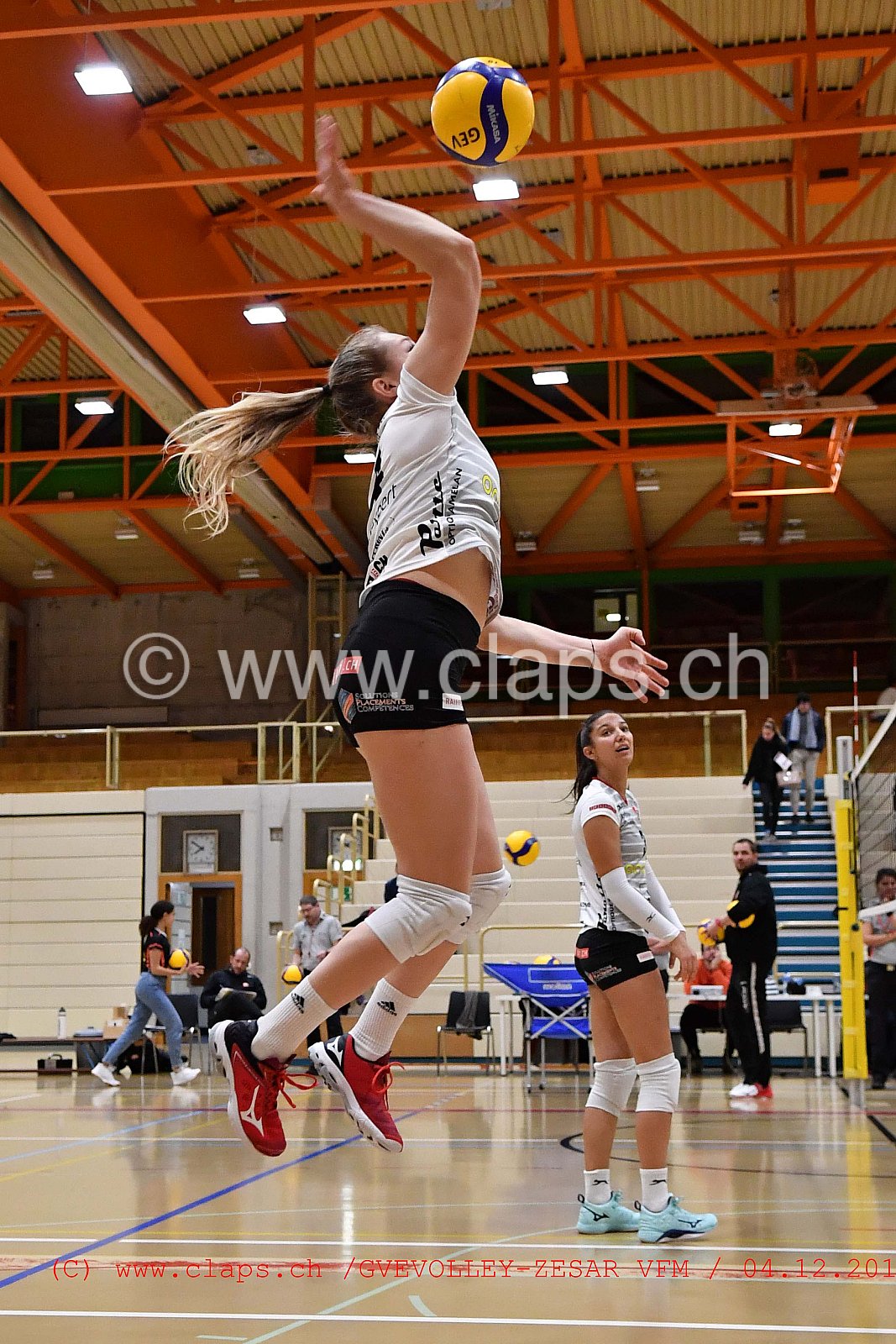 GeneveVolley - Zesar VFM