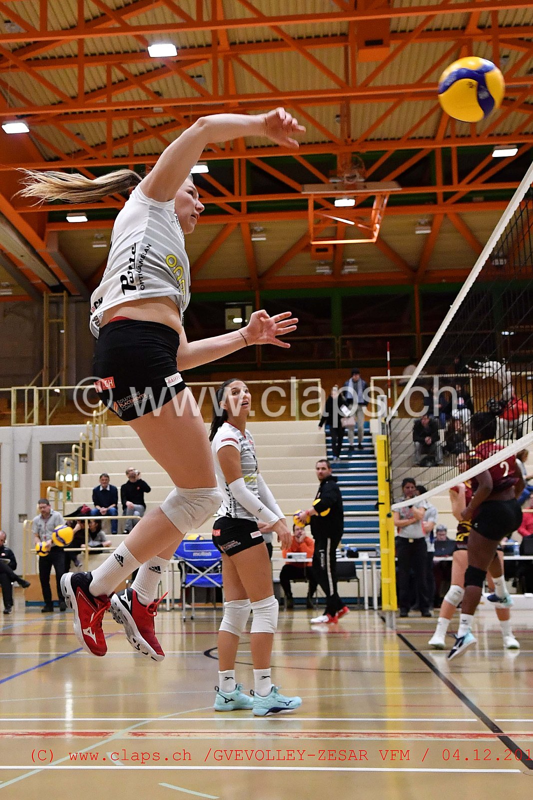 GeneveVolley - Zesar VFM