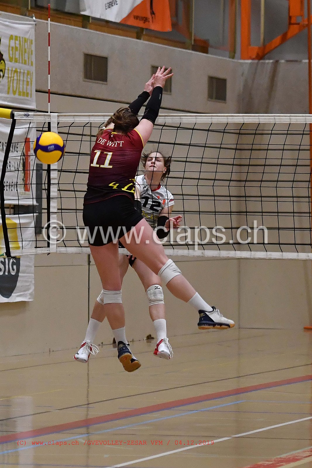 GeneveVolley - Zesar VFM