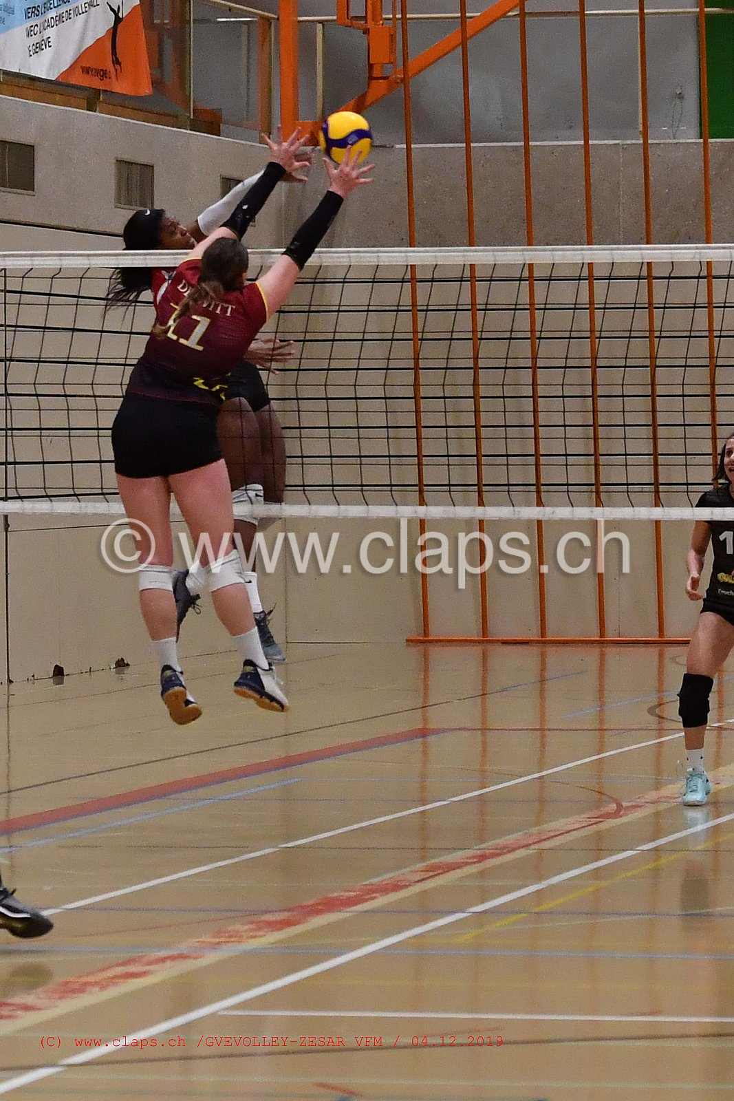 GeneveVolley - Zesar VFM
