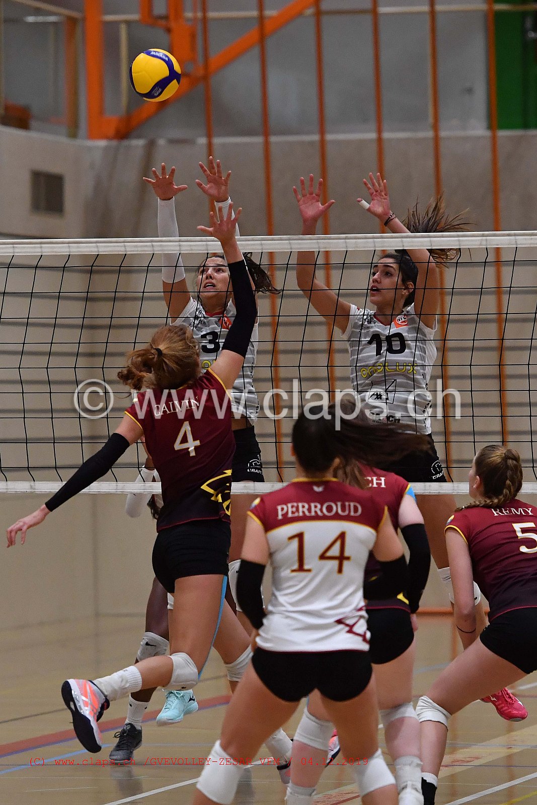 GeneveVolley - Zesar VFM