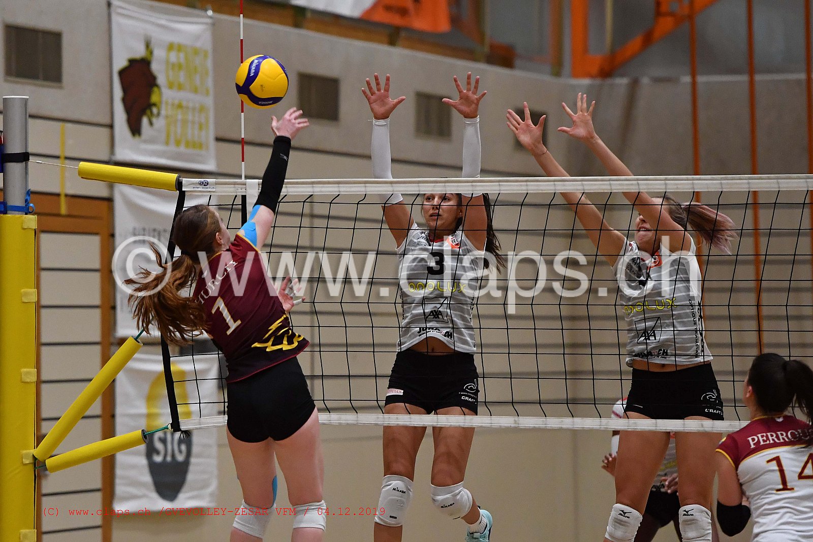GeneveVolley - Zesar VFM