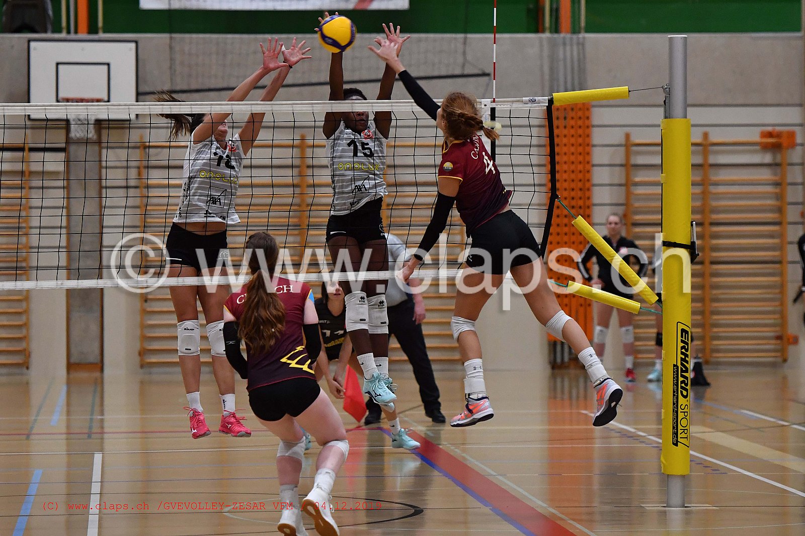 GeneveVolley - Zesar VFM