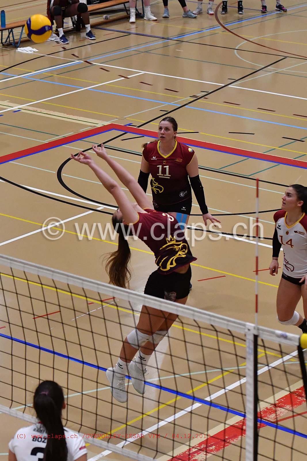 GeneveVolley - Zesar VFM
