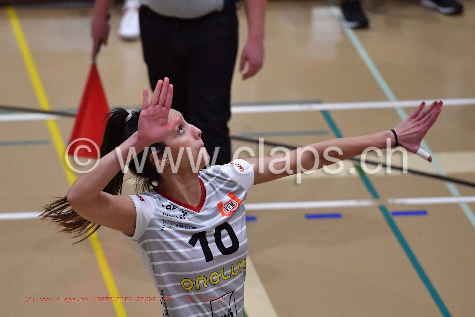 GeneveVolley - Zesar VFM