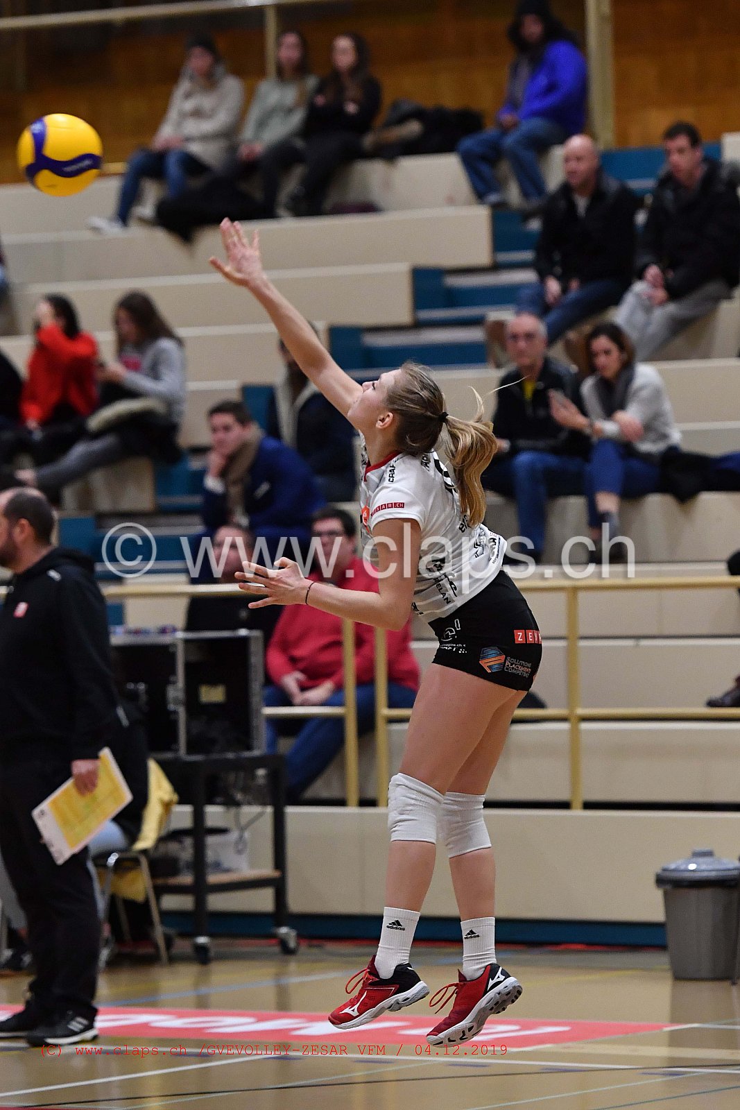 GeneveVolley - Zesar VFM