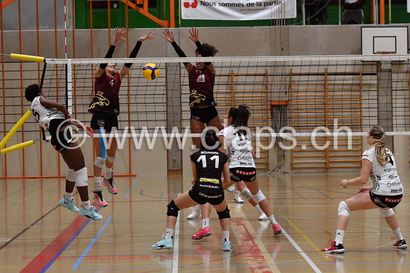 GeneveVolley - Zesar VFM