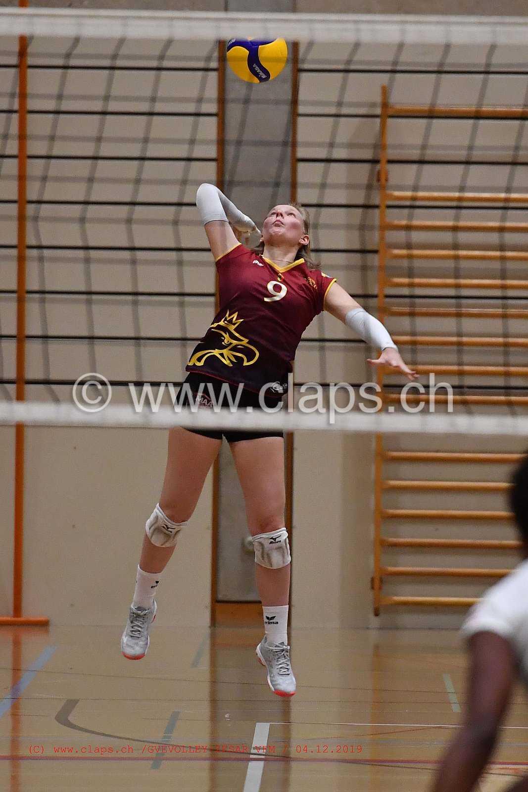 GeneveVolley - Zesar VFM