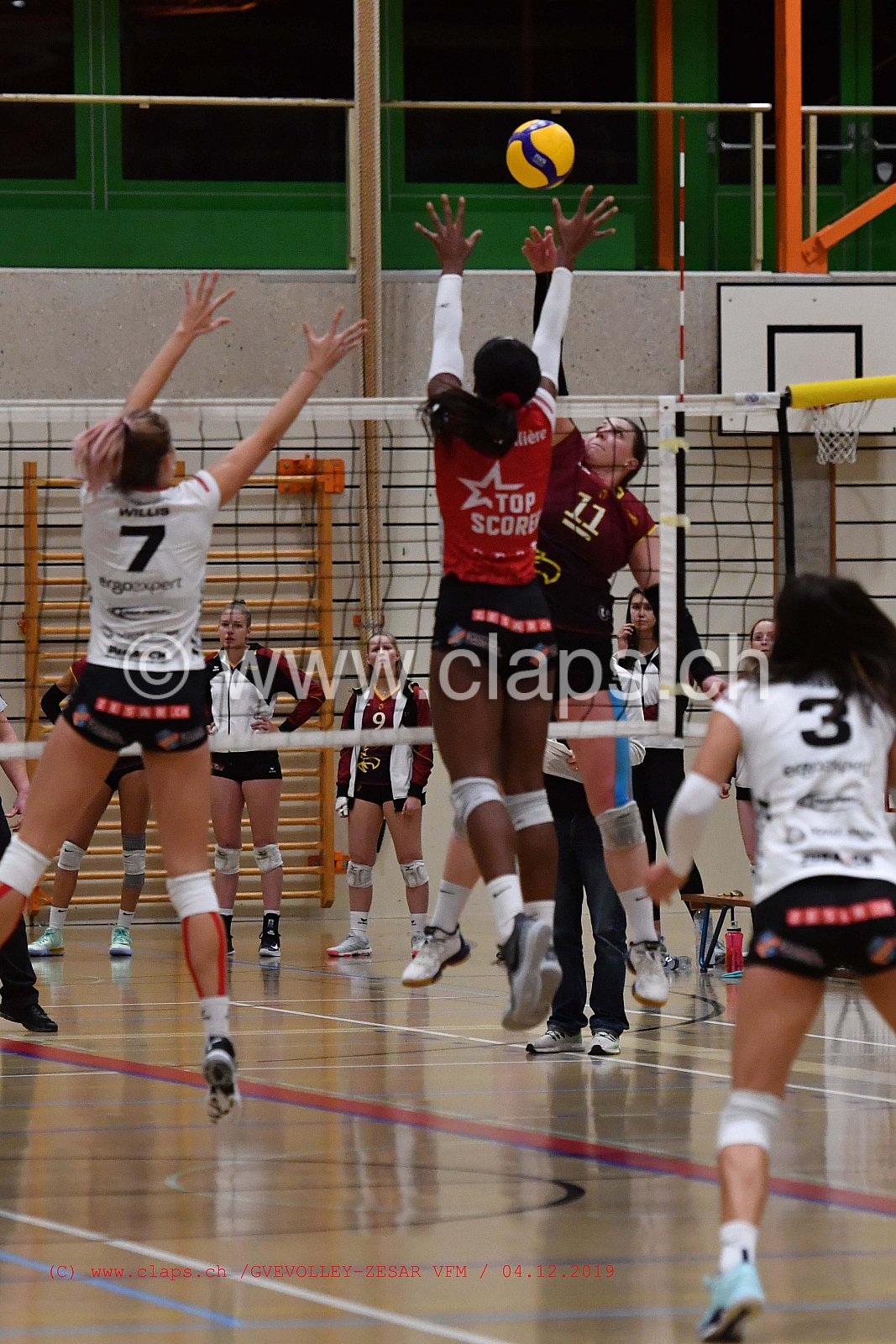 GeneveVolley - Zesar VFM