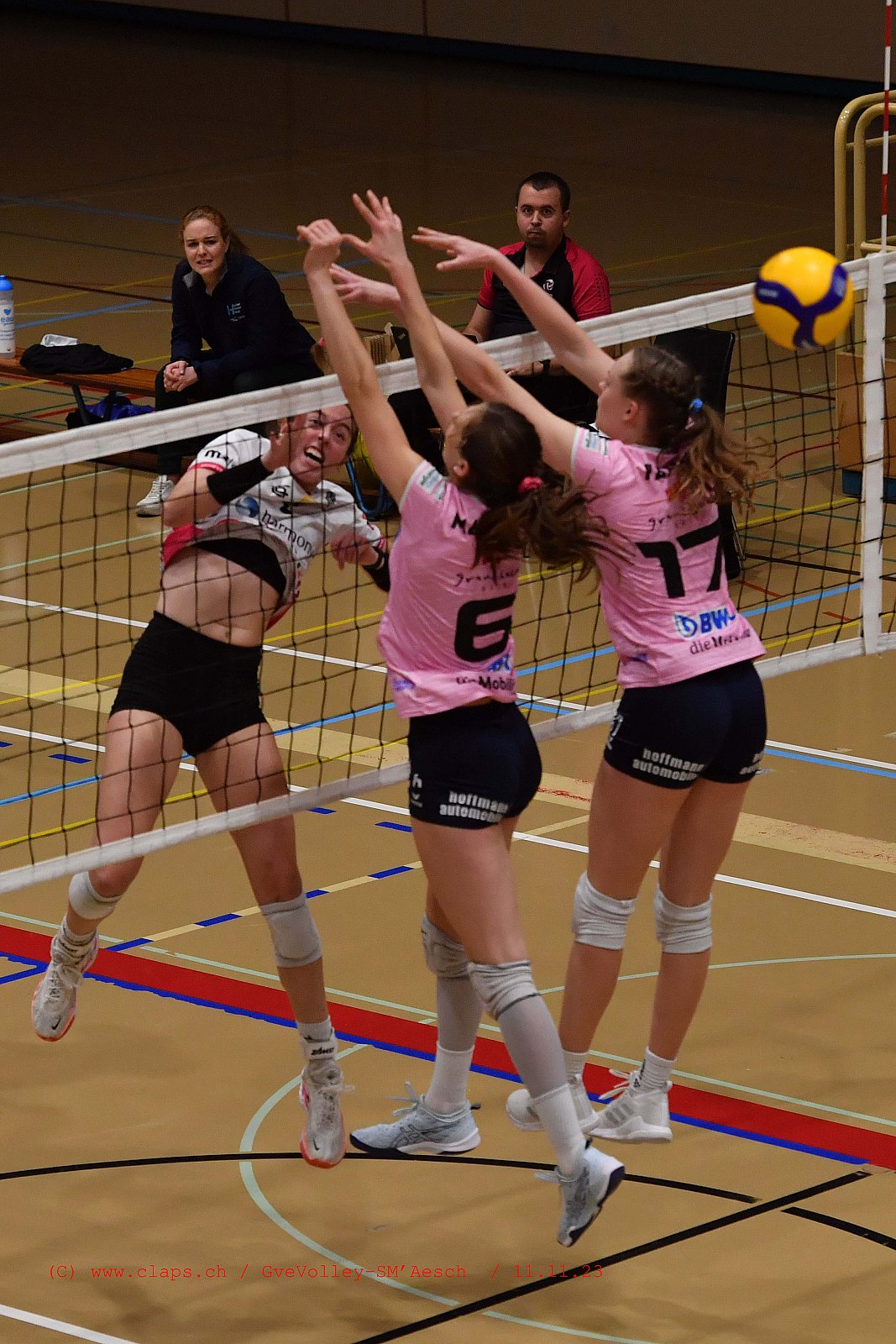 20231111 GveVolley SMAesch