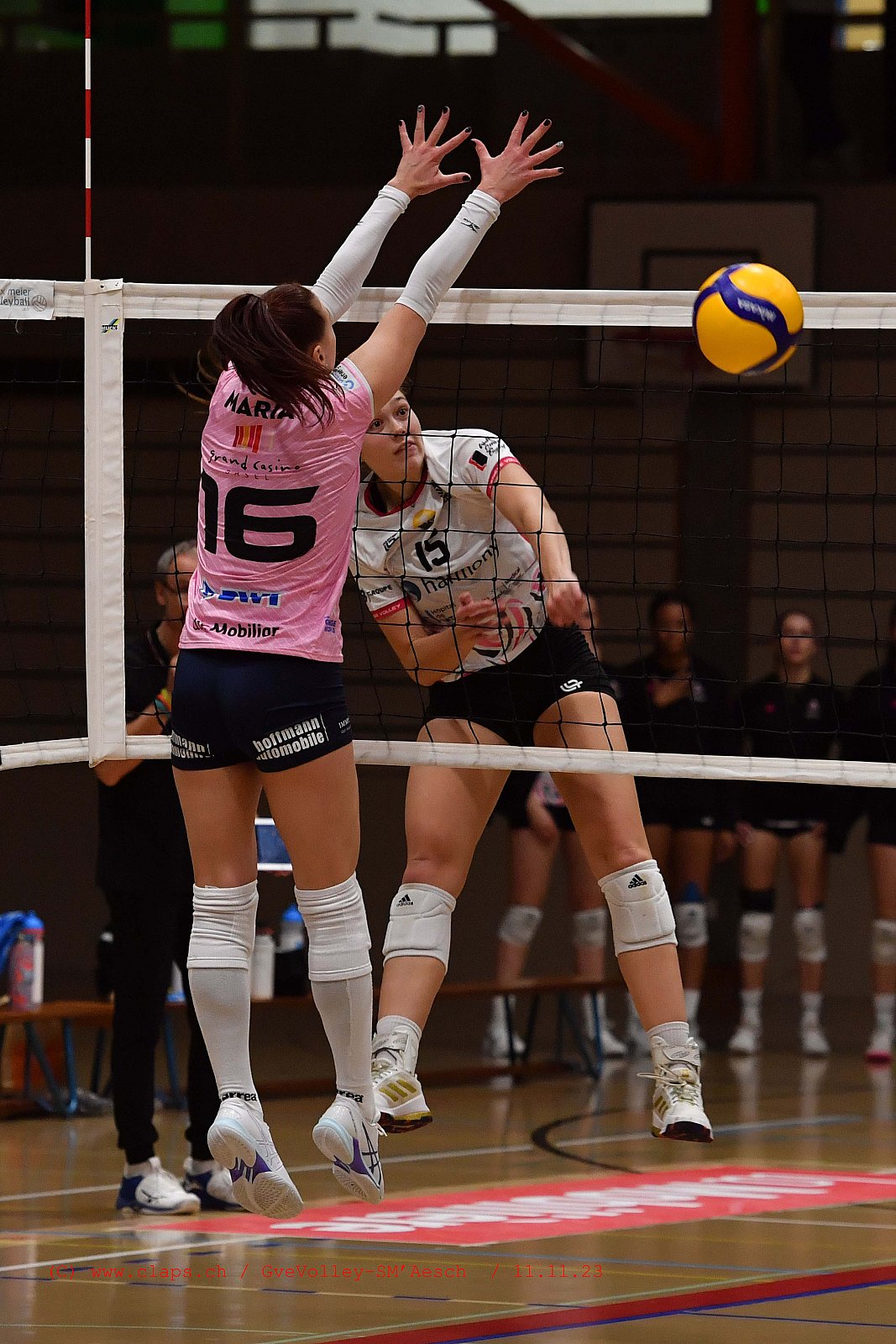 20231111 GveVolley SMAesch