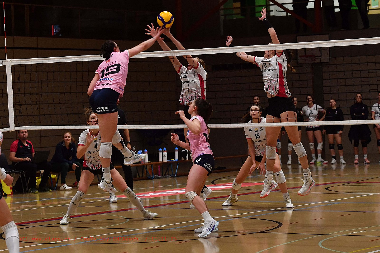 20231111 GveVolley SMAesch
