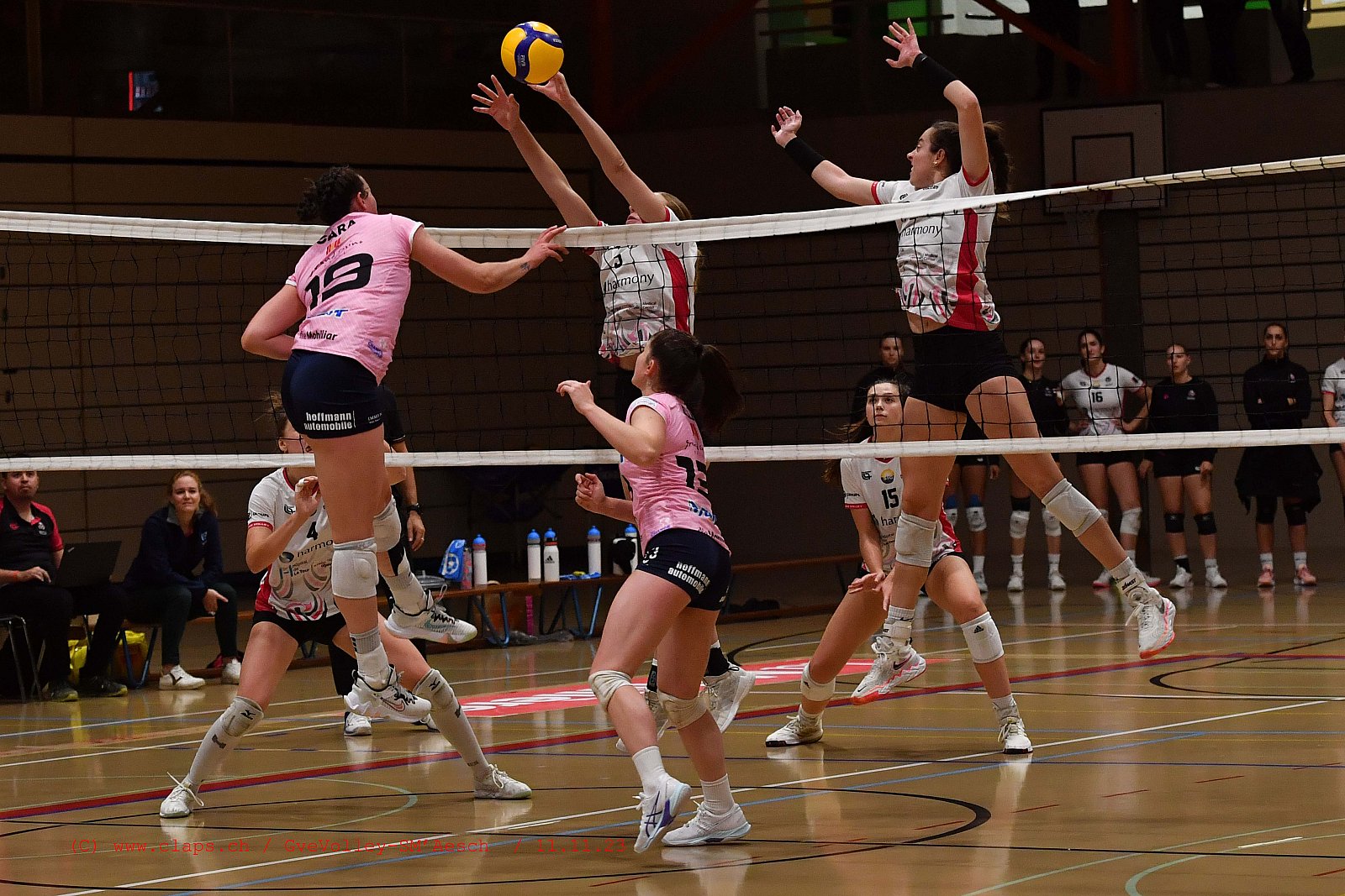 20231111 GveVolley SMAesch