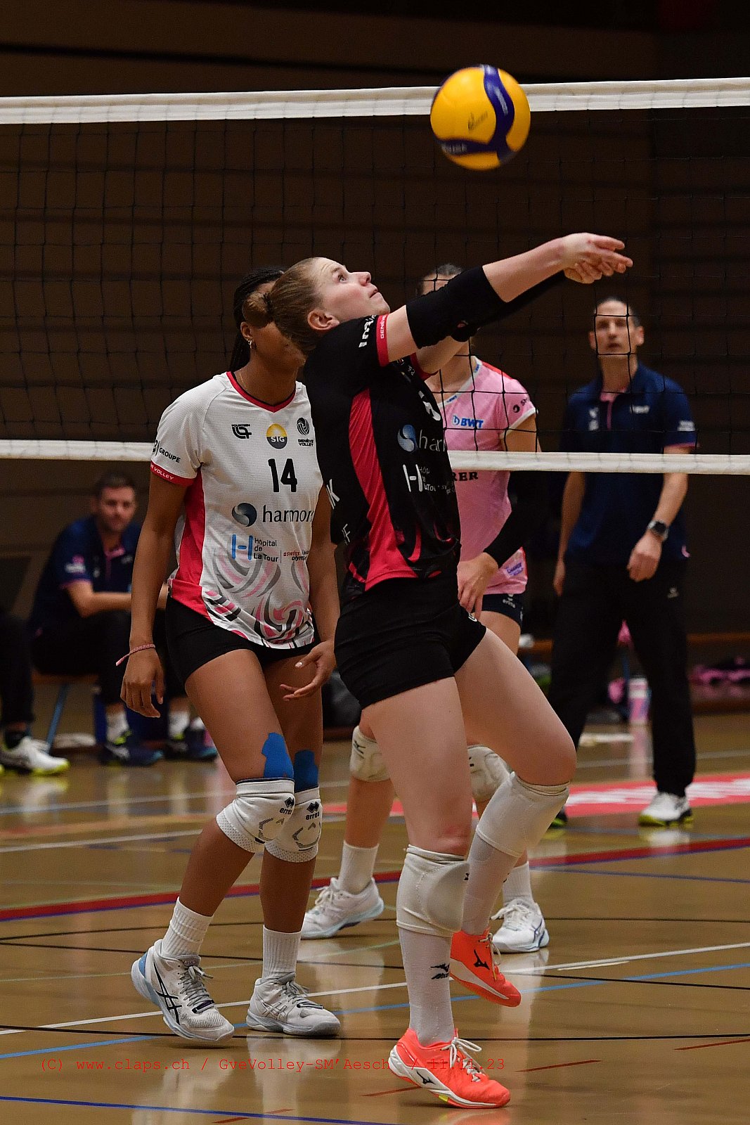 20231111 GveVolley SMAesch