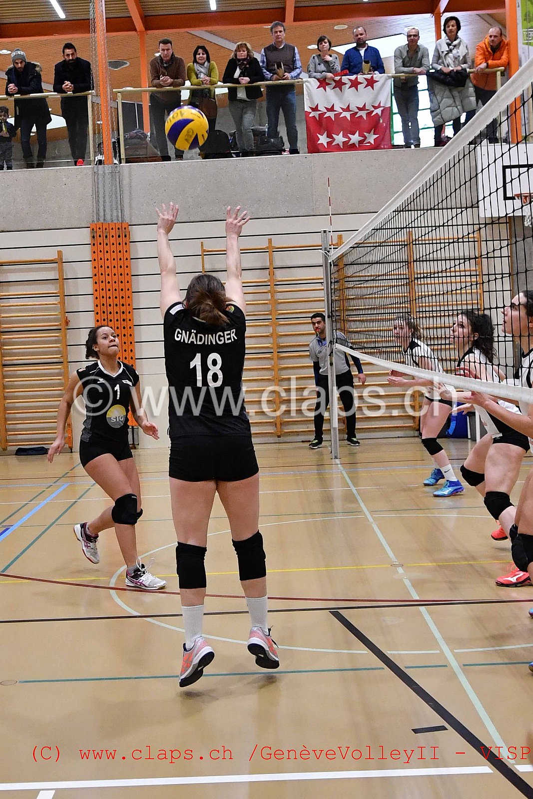 GenèveVolley 2 -Visp