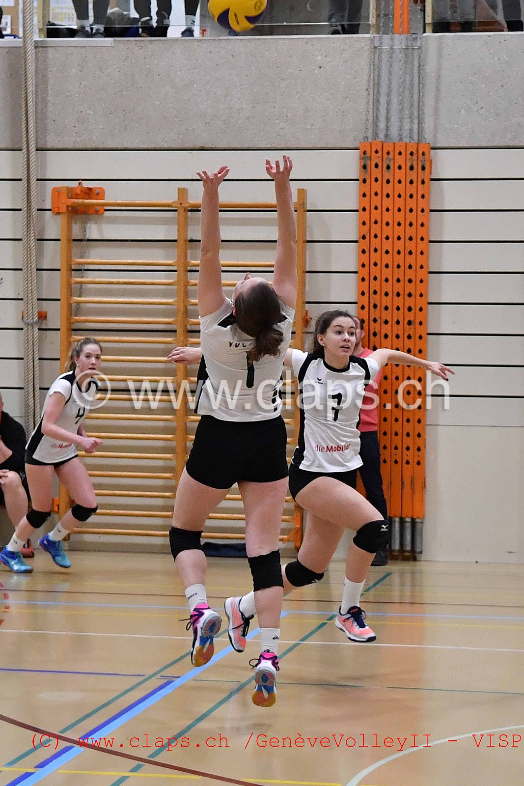 GenèveVolley 2 -Visp