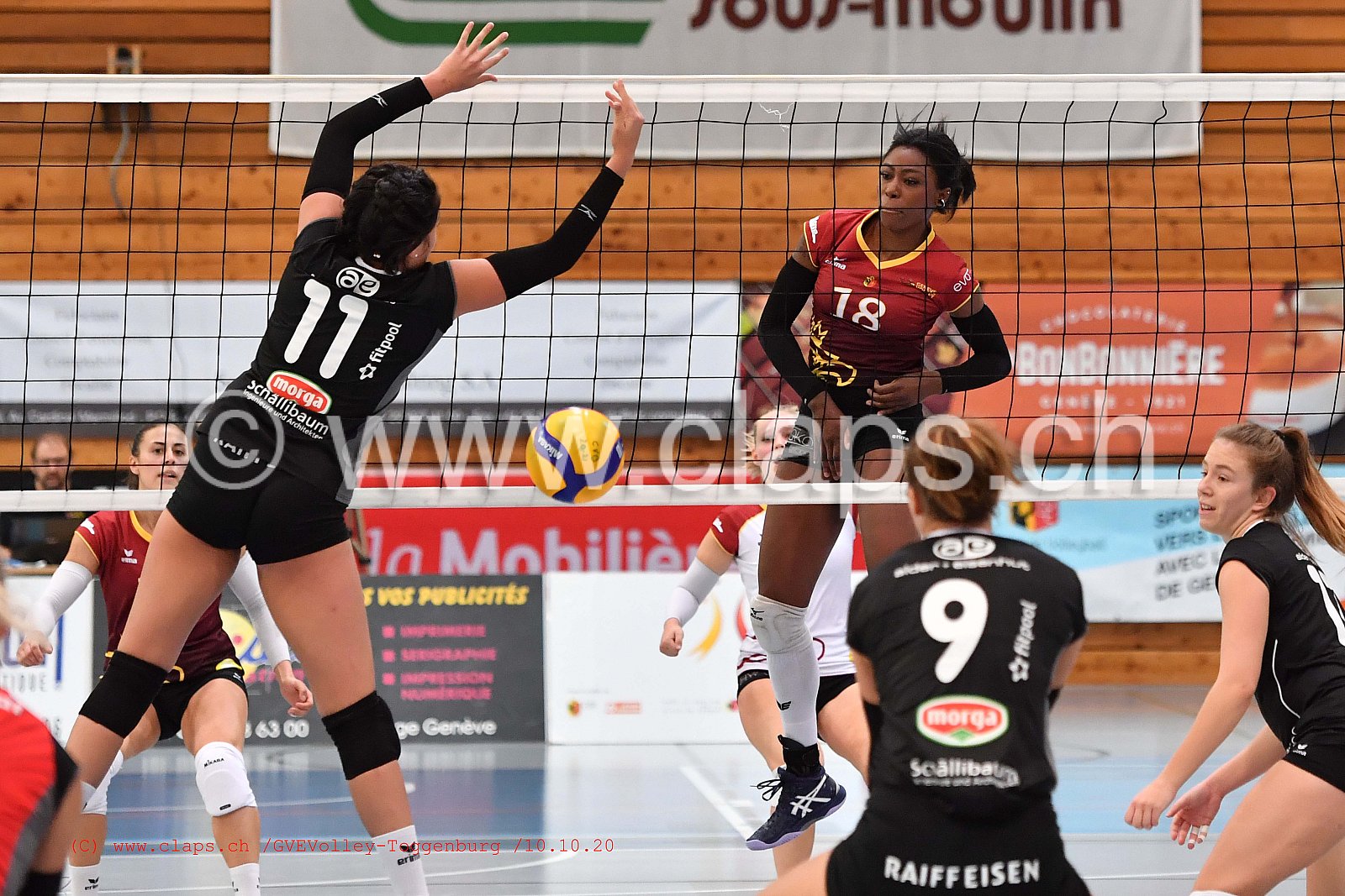 GenèveVolley - Toggenburg