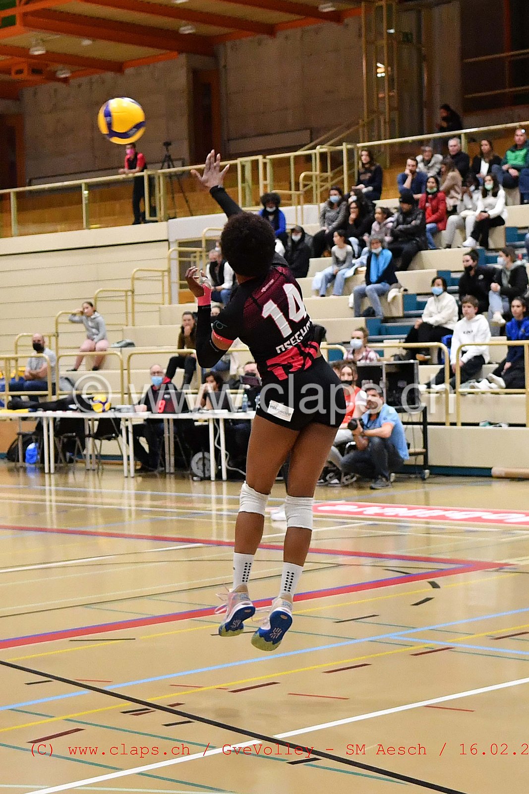 GveVolley - Sm Aesch février 2022