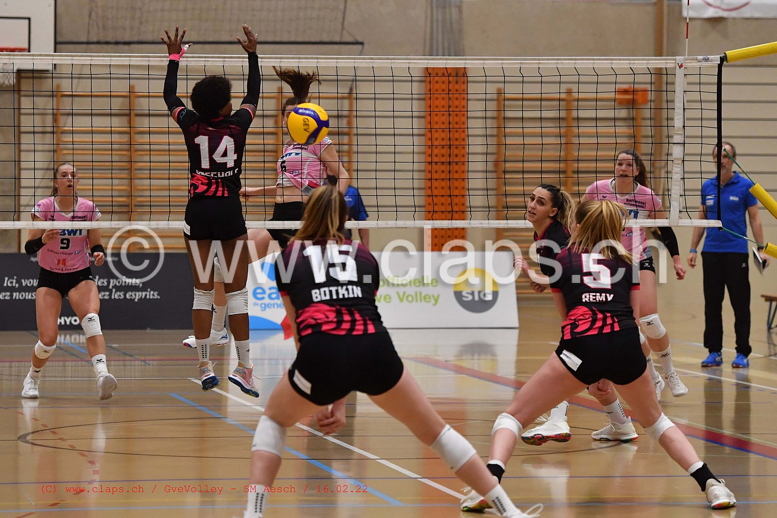 GveVolley - Sm Aesch février 2022