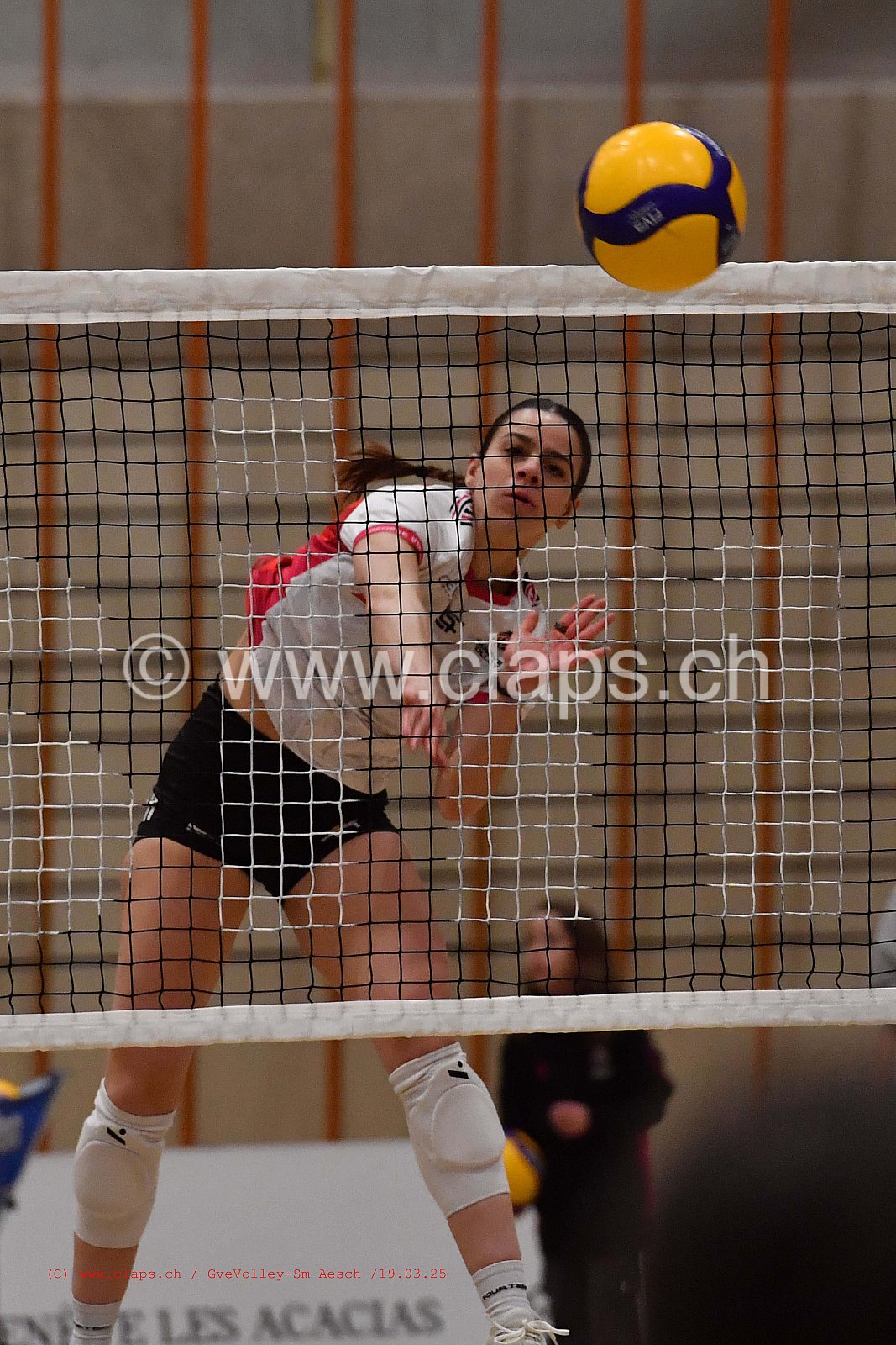 20250319_Infomaniak_GeneveVolley_SMAESCH