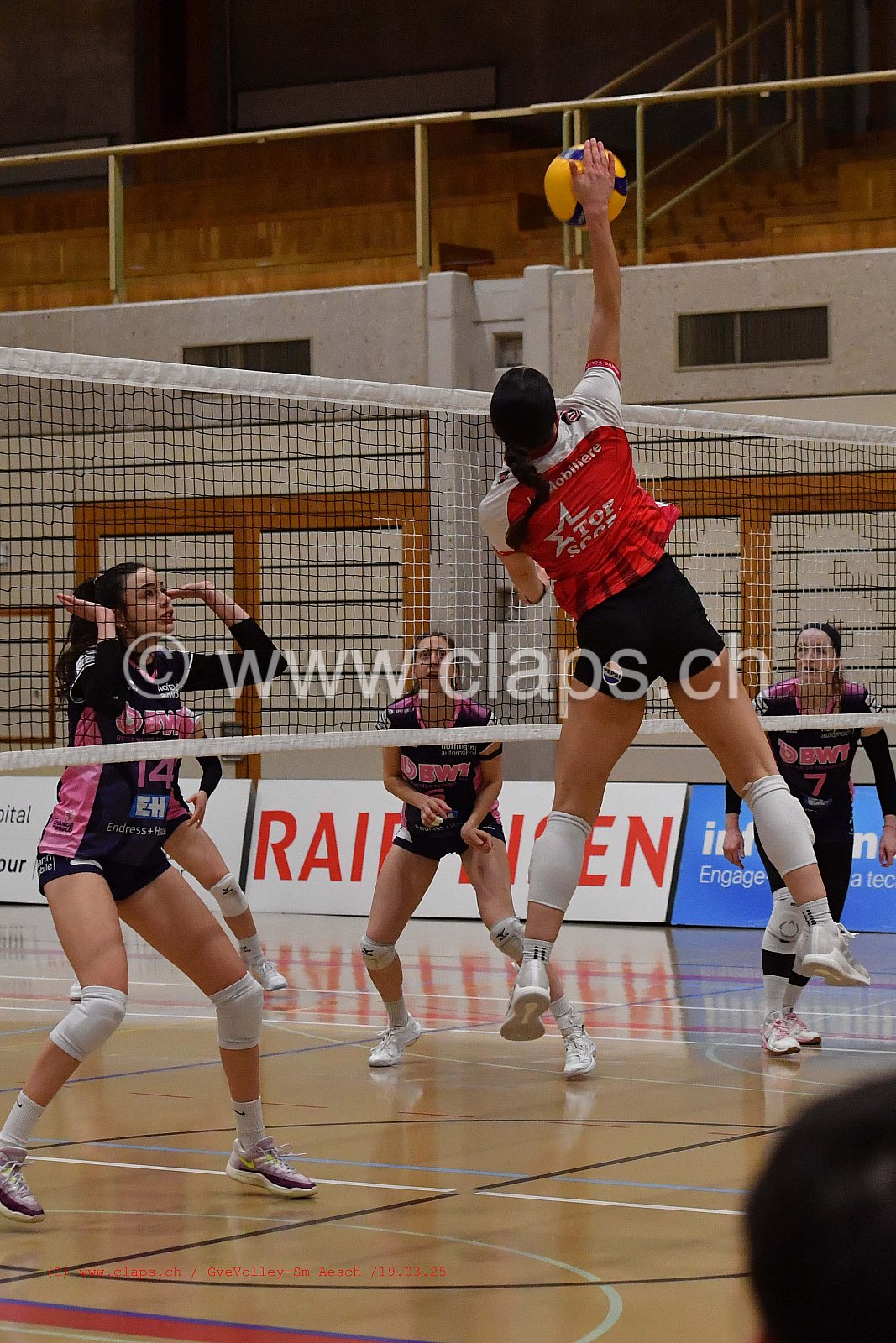 20250319_Infomaniak_GeneveVolley_SMAESCH
