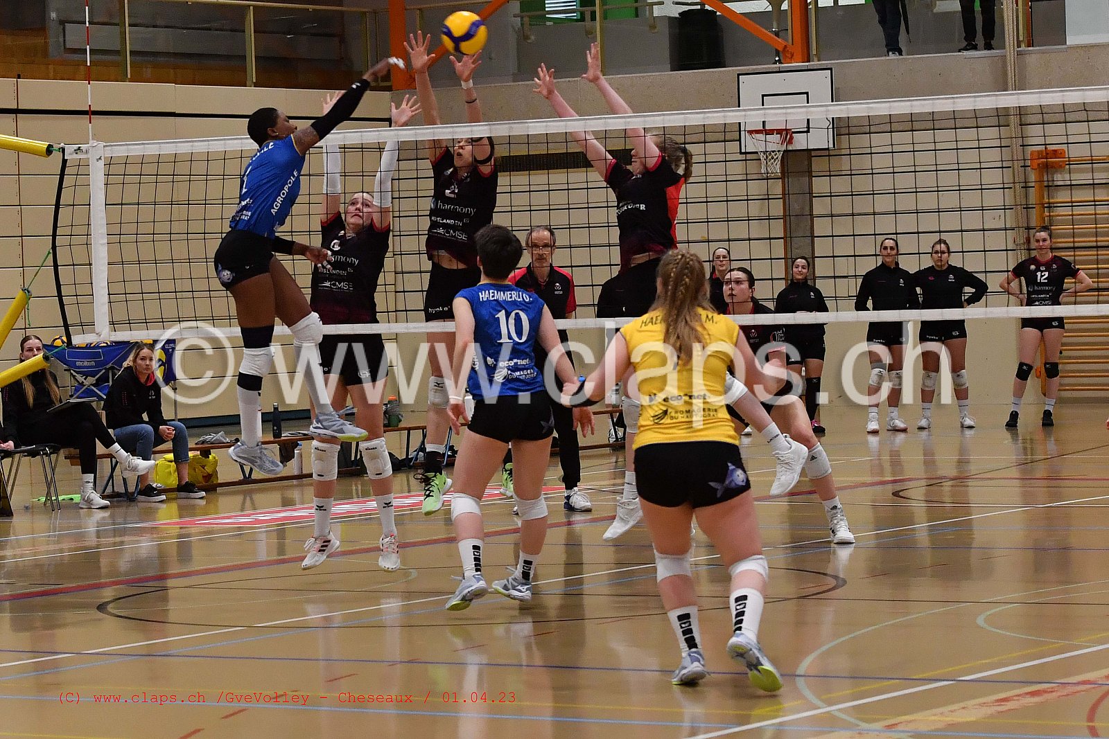 20230401_GeneveVolley_Cheseaux