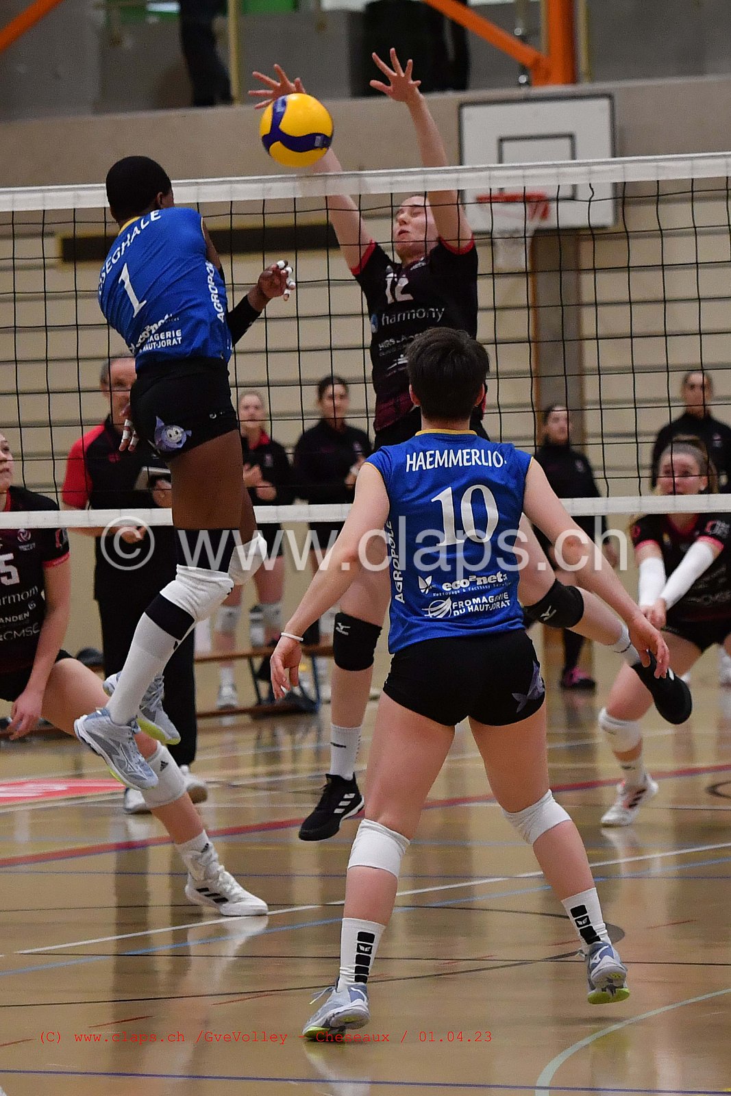 20230401_GeneveVolley_Cheseaux