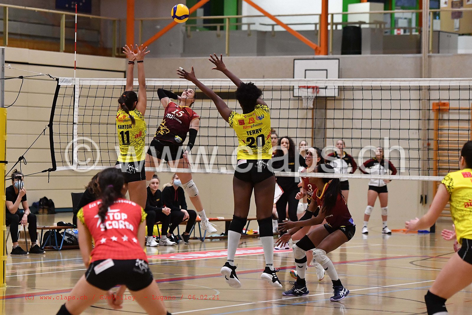 GeneveVolley - Lugano