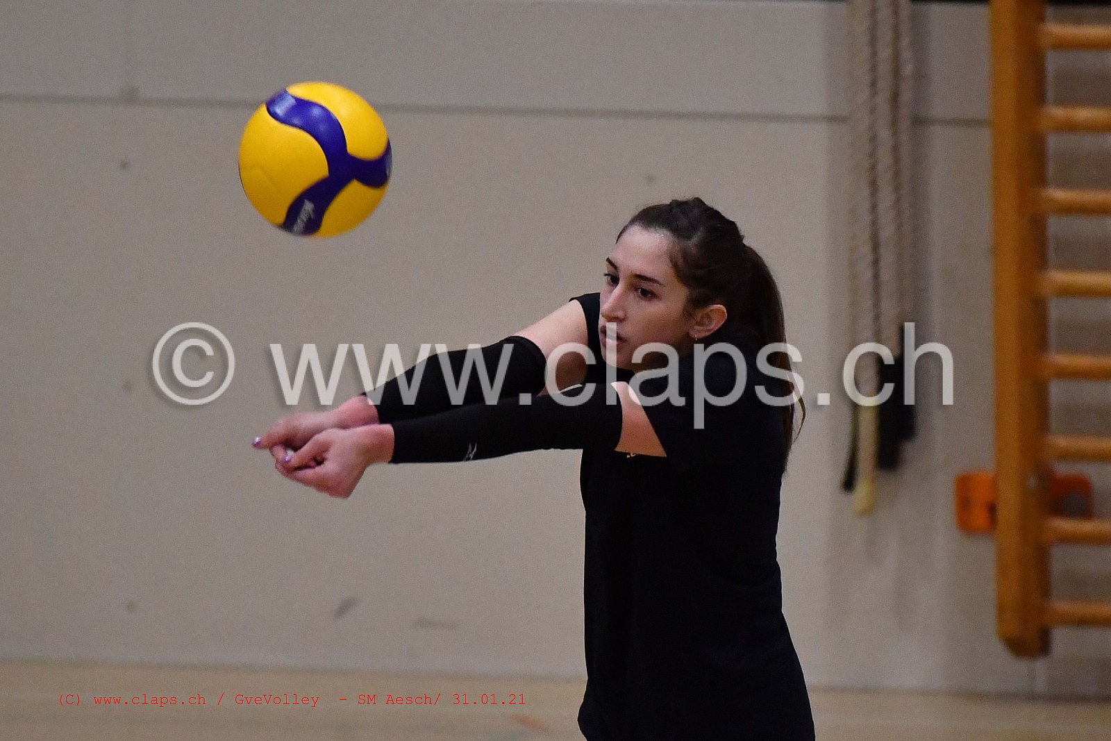 Genève Volley SM Aesch
