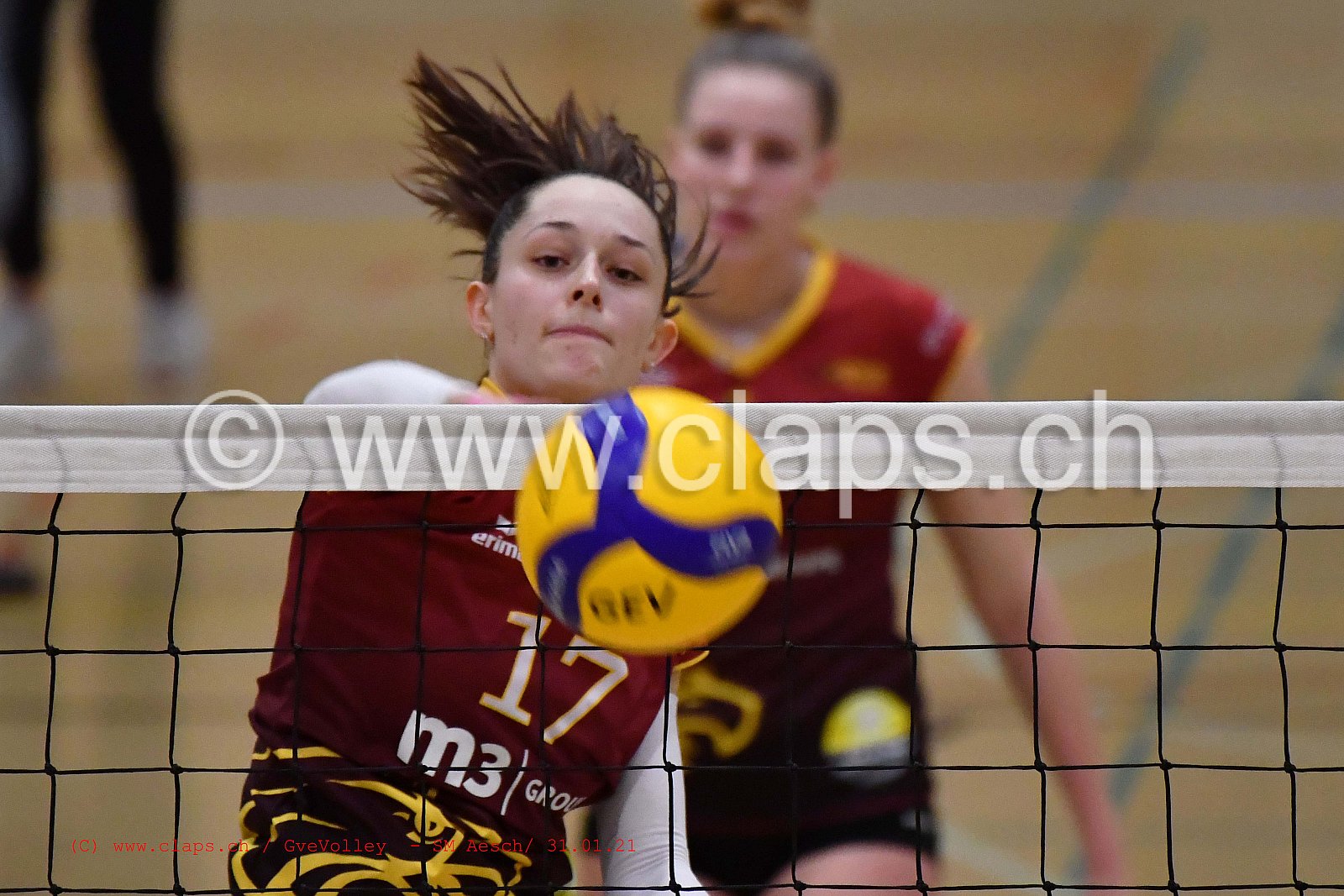 Genève Volley SM Aesch