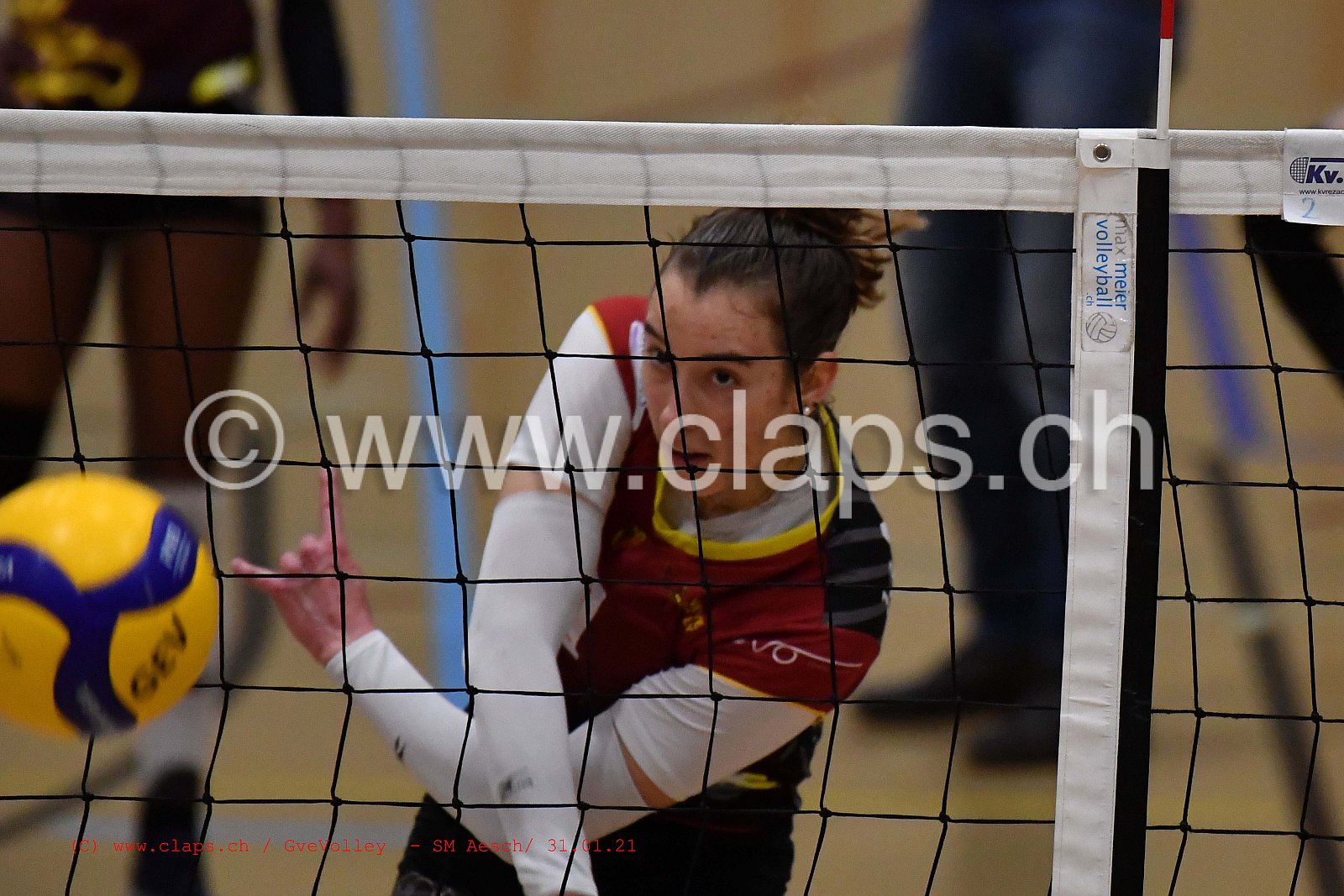 Genève Volley SM Aesch