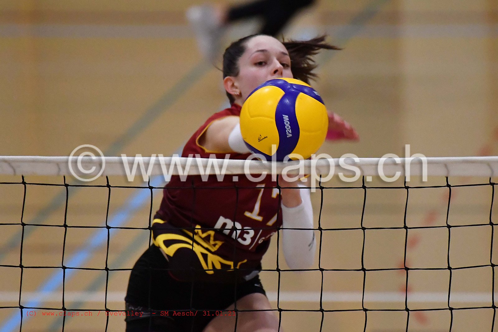 Genève Volley SM Aesch