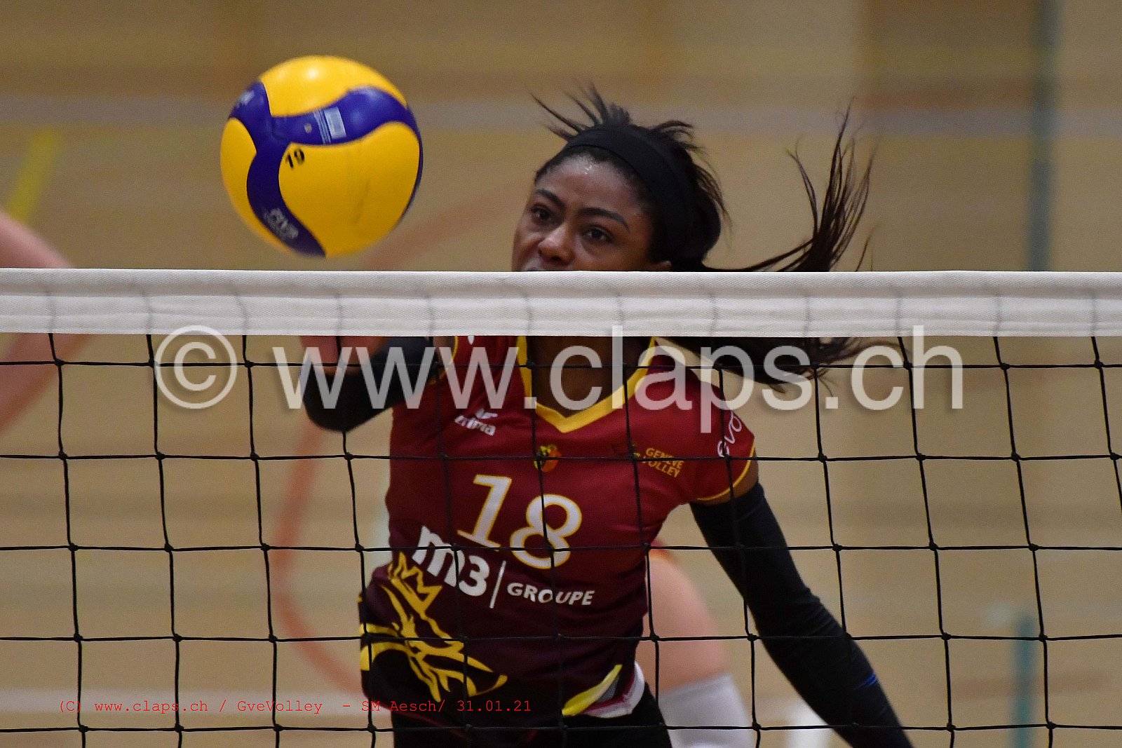 Genève Volley SM Aesch