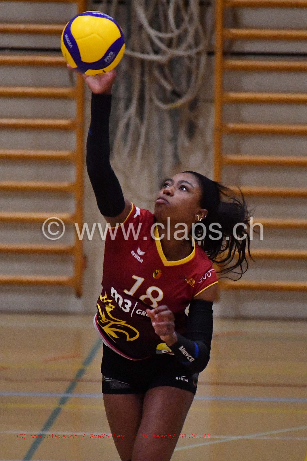 Genève Volley SM Aesch