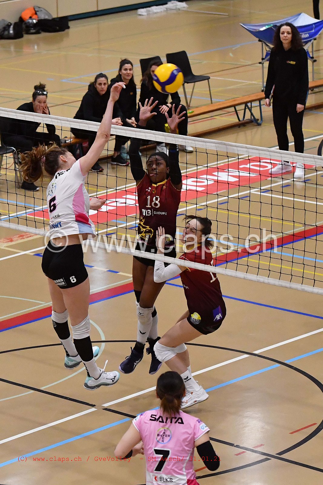 Genève Volley SM Aesch